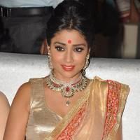 Shriya Hot Saree Photos at Tollywood Cinema Channel Opening | Picture 549057
