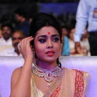 Shriya Hot Saree Photos at Tollywood Cinema Channel Opening | Picture 549059