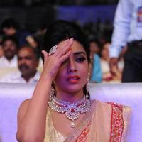 Shriya Hot Saree Photos at Tollywood Cinema Channel Opening | Picture 549060