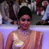 Shriya Hot Saree Photos at Tollywood Cinema Channel Opening | Picture 549061