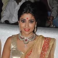 Shriya Hot Saree Photos at Tollywood Cinema Channel Opening | Picture 549066