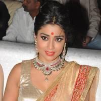 Shriya Hot Saree Photos at Tollywood Cinema Channel Opening | Picture 549068