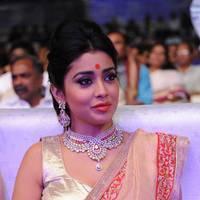 Shriya Hot Saree Photos at Tollywood Cinema Channel Opening | Picture 549070