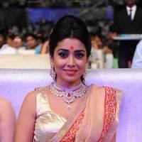 Shriya Hot Saree Photos at Tollywood Cinema Channel Opening | Picture 549073