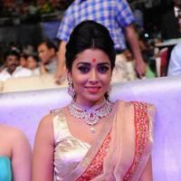 Shriya Hot Saree Photos at Tollywood Cinema Channel Opening | Picture 549074
