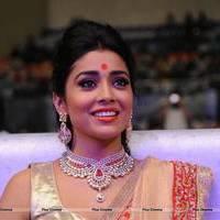 Shriya Hot Saree Photos at Tollywood Cinema Channel Opening | Picture 549075