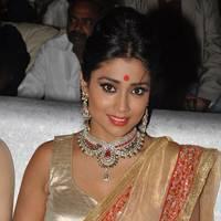 Shriya Hot Saree Photos at Tollywood Cinema Channel Opening | Picture 549077
