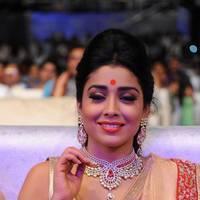 Shriya Hot Saree Photos at Tollywood Cinema Channel Opening | Picture 549078
