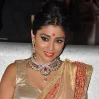 Shriya Hot Saree Photos at Tollywood Cinema Channel Opening | Picture 549084