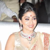 Shriya Hot Saree Photos at Tollywood Cinema Channel Opening | Picture 549089