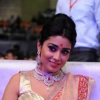 Shriya Hot Saree Photos at Tollywood Cinema Channel Opening | Picture 549095