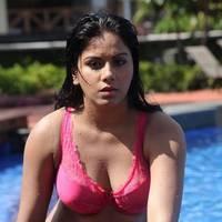 Rachana Maurya - Jagathjantri Movie Hot Stills | Picture 555288