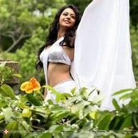Rakul Preeth Singh Hot Saree Images at Jagathjantri Movie | Picture 555543