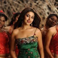 Richa Gangopadhyay New Hot Images | Picture 558299
