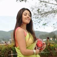 Richa Gangopadhyay New Hot Images | Picture 558674