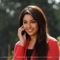 Richa Gangopadhyay New Hot Images | Picture 558675