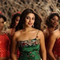 Richa Gangopadhyay New Hot Images | Picture 558303