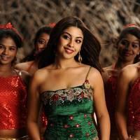 Richa Gangopadhyay New Hot Images | Picture 558305