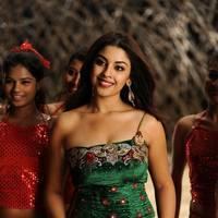 Richa Gangopadhyay New Hot Images | Picture 558307