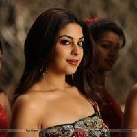Richa Gangopadhyay New Hot Images | Picture 558309