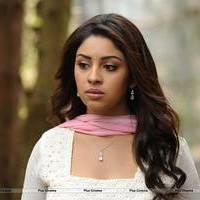 Richa Gangopadhyay New Hot Images | Picture 558678