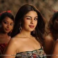 Richa Gangopadhyay New Hot Images | Picture 558310