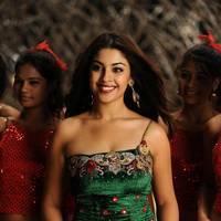 Richa Gangopadhyay New Hot Images | Picture 558311