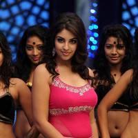 Richa Gangopadhyay New Hot Images | Picture 558681