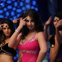 Richa Gangopadhyay New Hot Images | Picture 558682