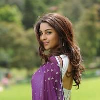 Richa Gangopadhyay New Hot Images | Picture 558316