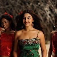 Richa Gangopadhyay New Hot Images | Picture 558317