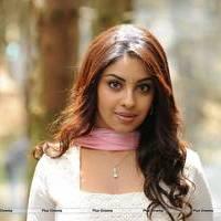 Richa Gangopadhyay New Hot Images | Picture 558683