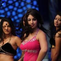 Richa Gangopadhyay New Hot Images | Picture 558685
