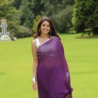 Richa Gangopadhyay New Hot Images | Picture 558319