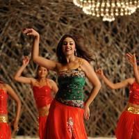 Richa Gangopadhyay New Hot Images | Picture 558320
