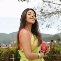 Richa Gangopadhyay New Hot Images | Picture 558688