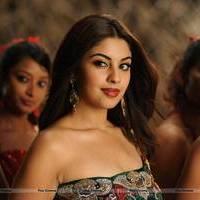 Richa Gangopadhyay New Hot Images | Picture 558321