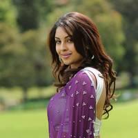 Richa Gangopadhyay New Hot Images | Picture 558322