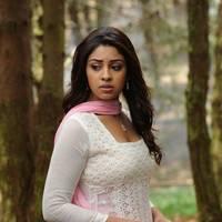 Richa Gangopadhyay New Hot Images | Picture 558691