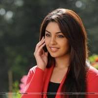 Richa Gangopadhyay New Hot Images | Picture 558695