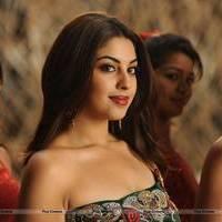 Richa Gangopadhyay New Hot Images | Picture 558327
