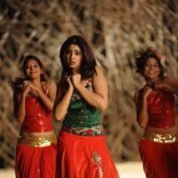 Richa Gangopadhyay New Hot Images | Picture 558330