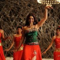 Richa Gangopadhyay New Hot Images | Picture 558331