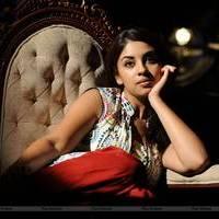 Richa Gangopadhyay New Hot Images | Picture 558334