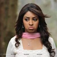 Richa Gangopadhyay New Hot Images | Picture 558704