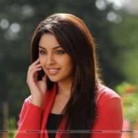 Richa Gangopadhyay New Hot Images | Picture 558705