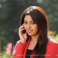 Richa Gangopadhyay New Hot Images | Picture 558706