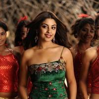 Richa Gangopadhyay New Hot Images | Picture 558339