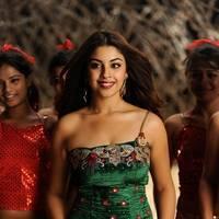 Richa Gangopadhyay New Hot Images | Picture 558340