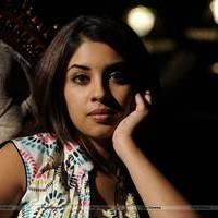 Richa Gangopadhyay New Hot Images | Picture 558349
